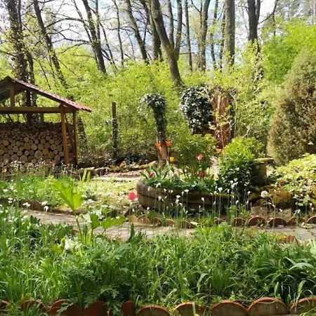 Apartment Csuszka Vendeghaz *