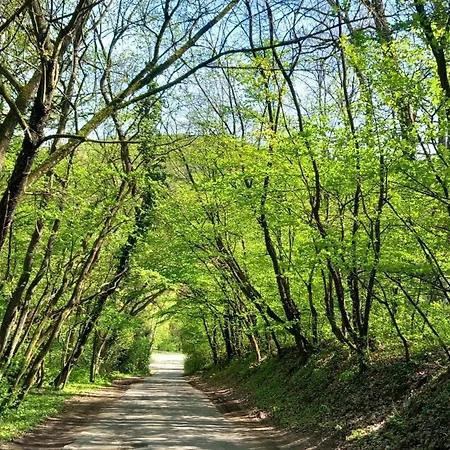 Csuszka Vendeghaz Apartment Verőcemaros