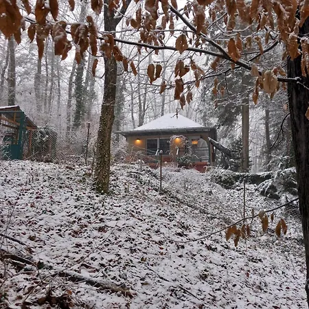 Apartment Csuszka Vendeghaz