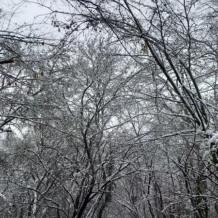 Csuszka Vendeghaz Apartment *